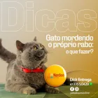 Imagem 2 da empresa NARDINE PET SHOP - LOJA 01 - NOVOS ESTADOS Pet Shop em Campo Grande MS